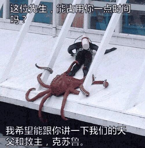 章鱼输入法表情包图标