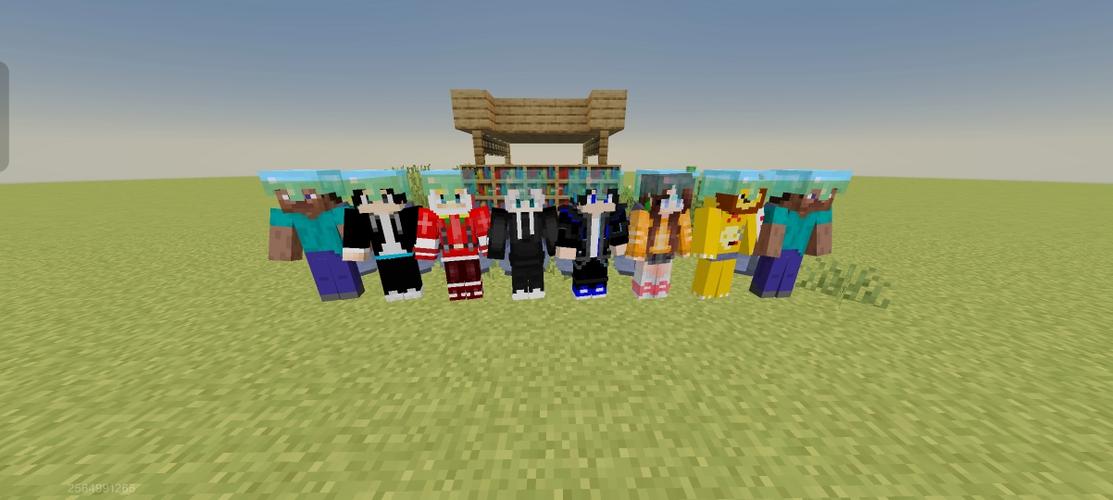 Minecraft的玩家群体