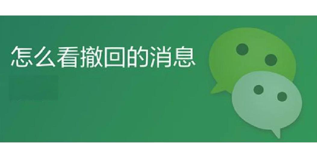 微信查看已撤回的文件游戏截图
