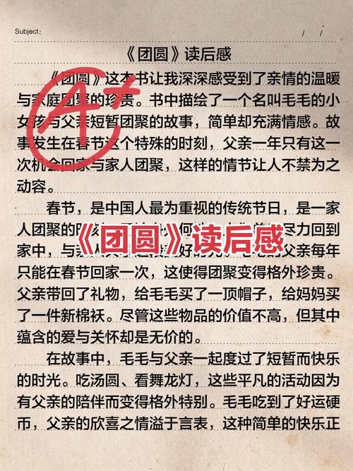 大团圆未删减全文阅读图标