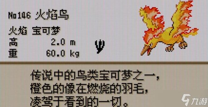 抓火焰鸟图标