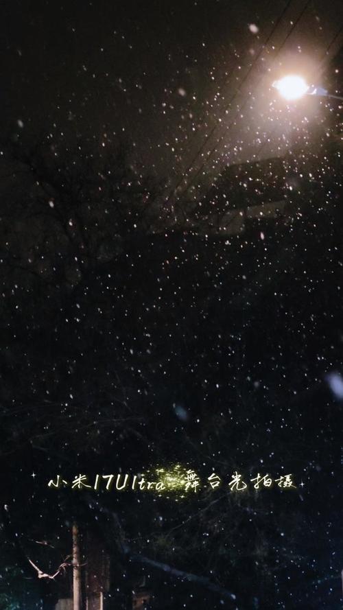 手机拍雪花的参数