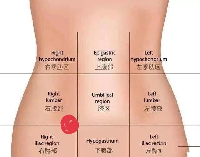 女人右下腹疼痛位置图缩略图