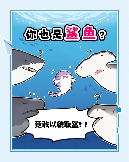 鲨鱼对人类友好吗
