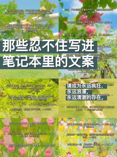 笔记本第一页最火文案