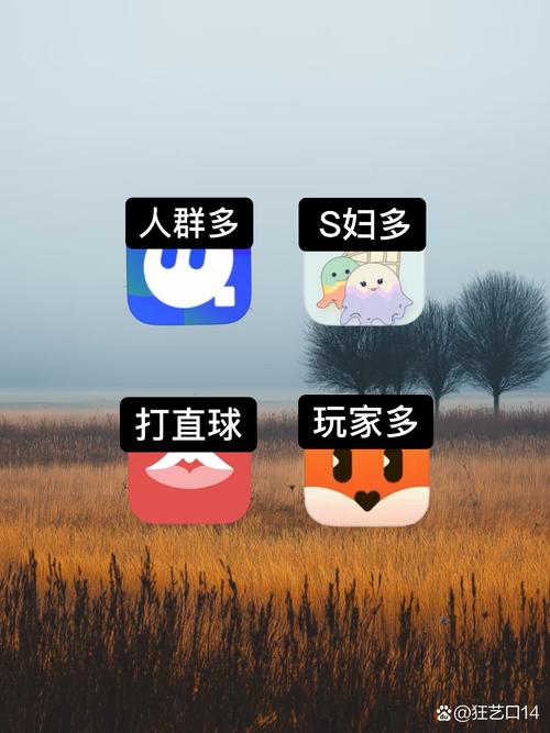奇多客app