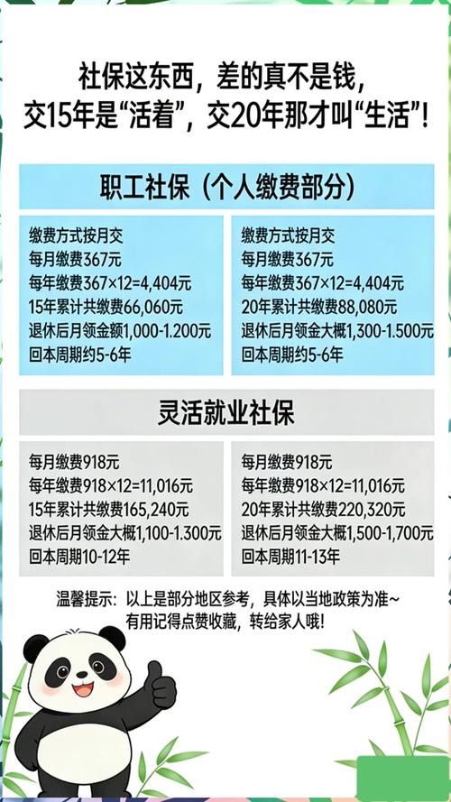 社保交了什么时候可以用