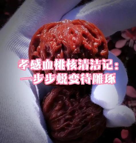 桃核挂瓷后还用刷吗