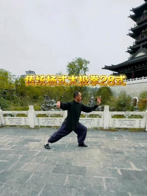 八十八式杨氏太极拳口令演示截图