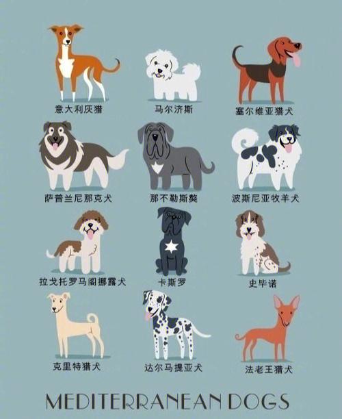 42种名犬品种