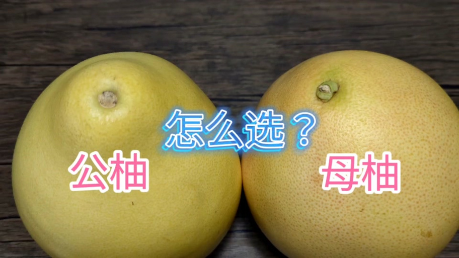 柚子树有没有公母