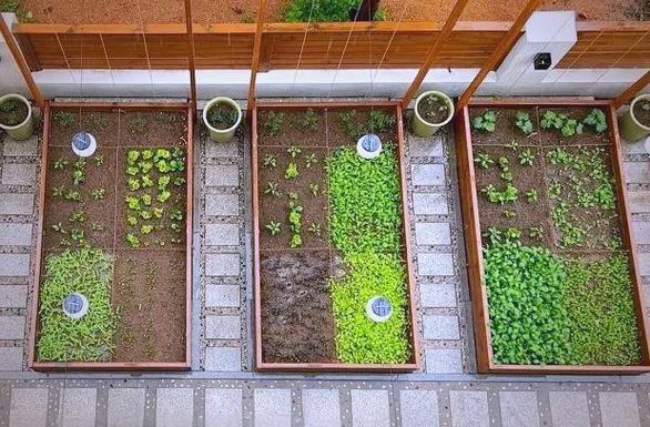 院子种菜图标