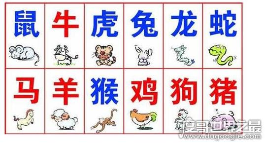 12生肖怎么买几率最大截图