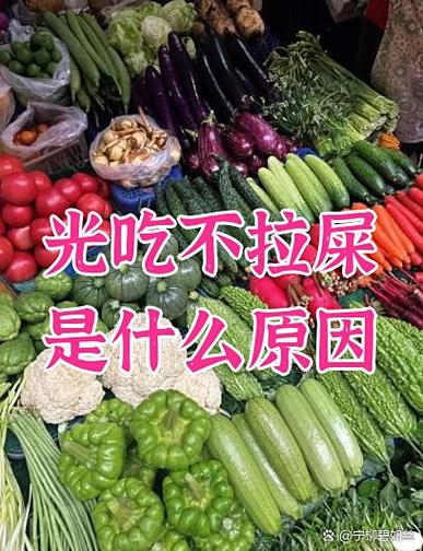 光吃不拉屎是什么原因