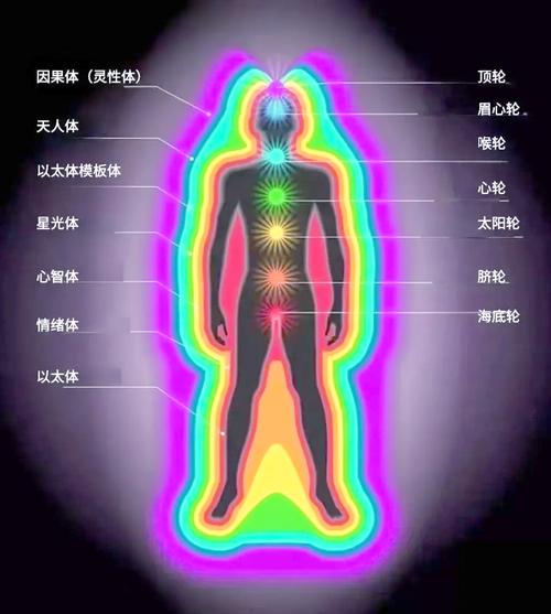 小小身体大大能量下一句怎么接