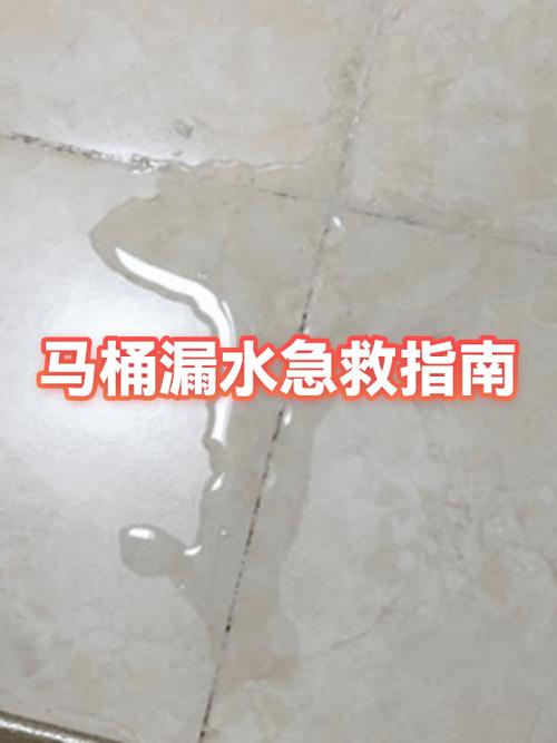 马桶堵了冲不下去怎么办缩略图