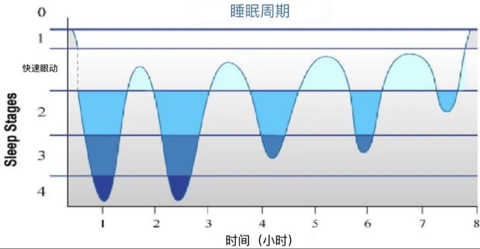 深度睡眠多长时间正常