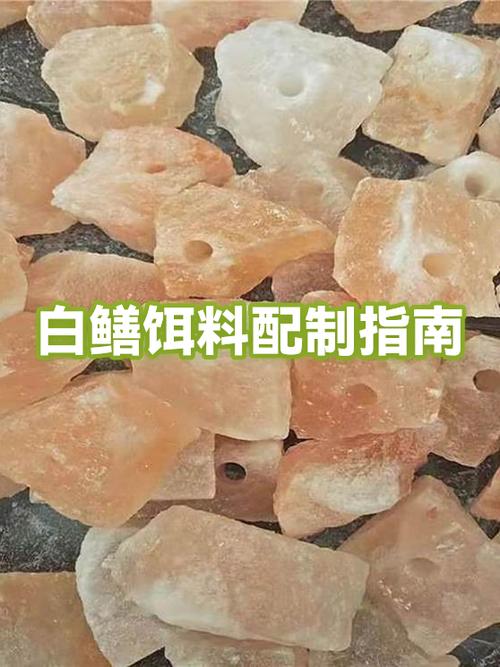 配鱼饵料配方大全