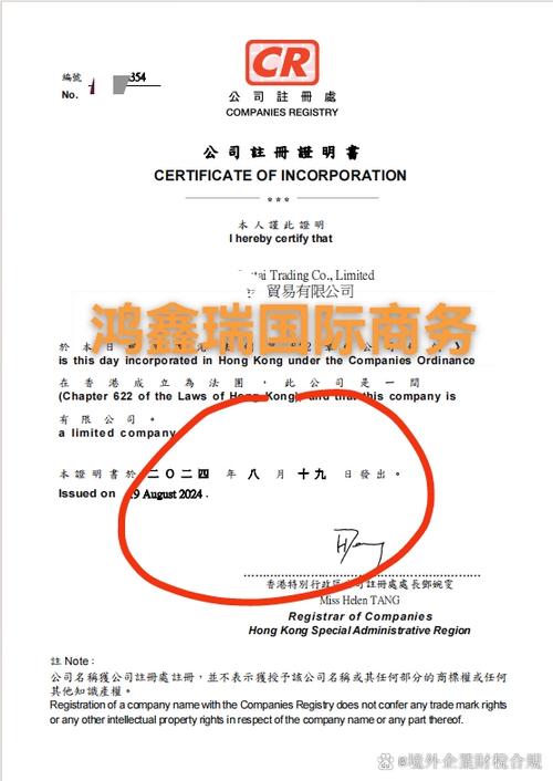 国内离岸账户怎么开
