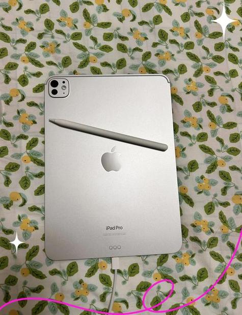 iPad Pro2024截图