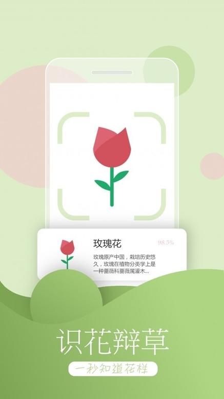 拍照识物app下载