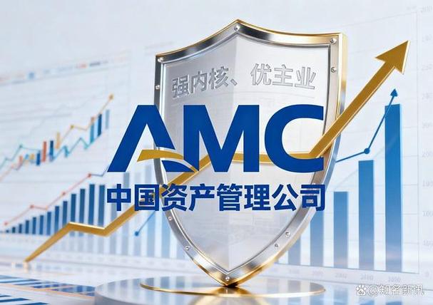 AMC是什么公司