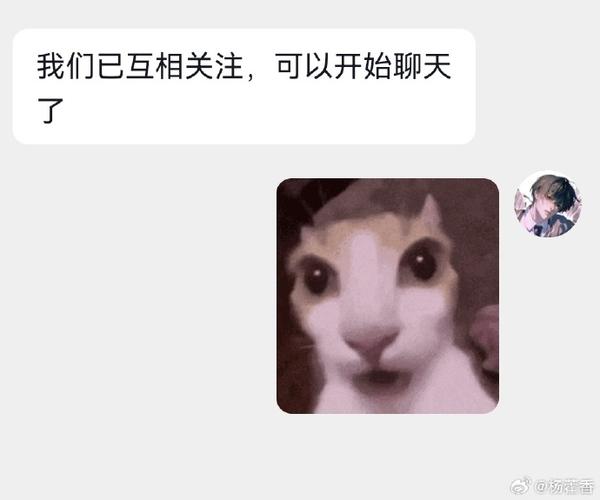 对方回关了暗示什么