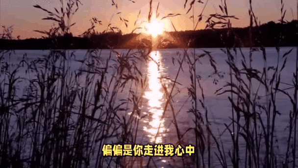 偏偏降落by梨梨亚冬