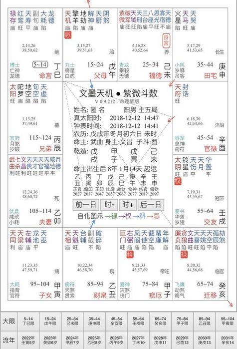 紫微斗数查询