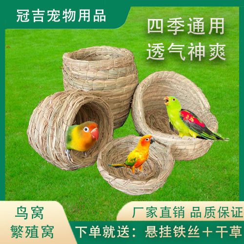 鹦鹉笼子里面要窝吗图标