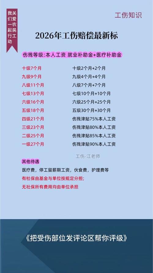 美团餐损赔付标准金额