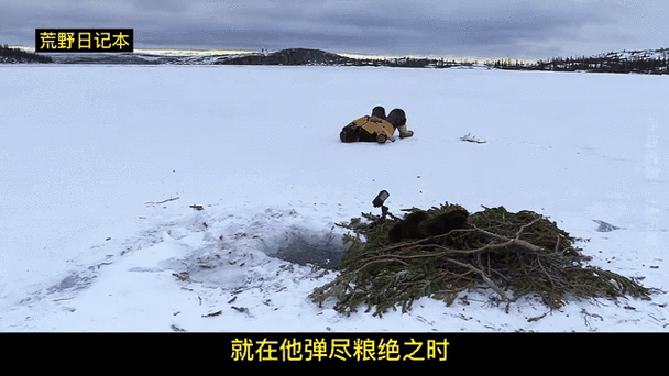 荒野求生日记珍珠游戏截图