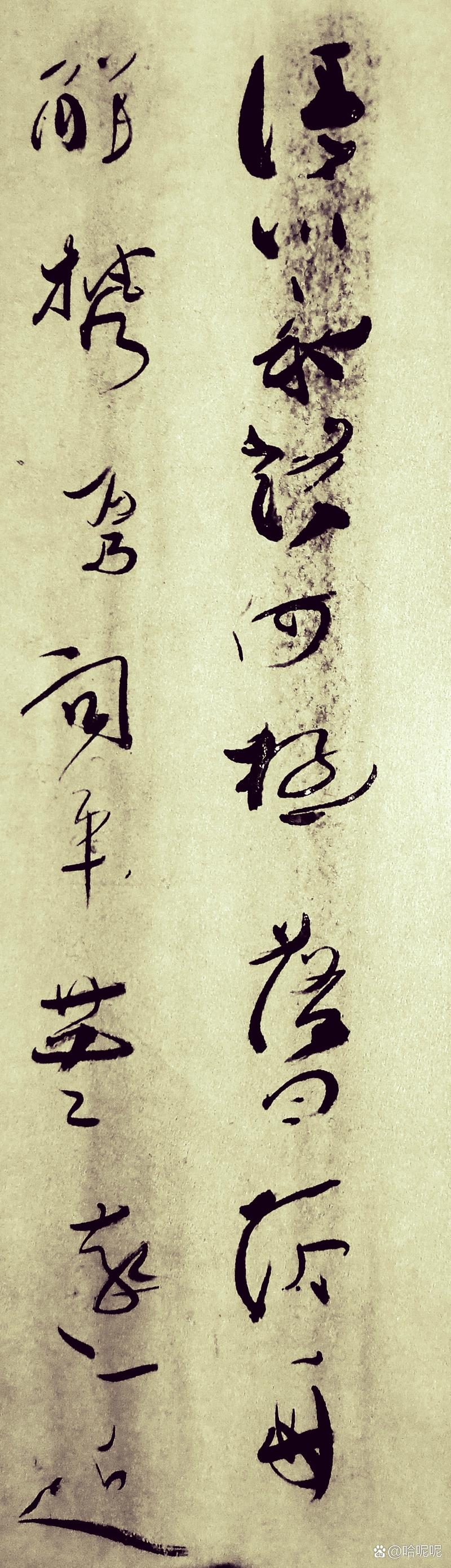 清川永路何极