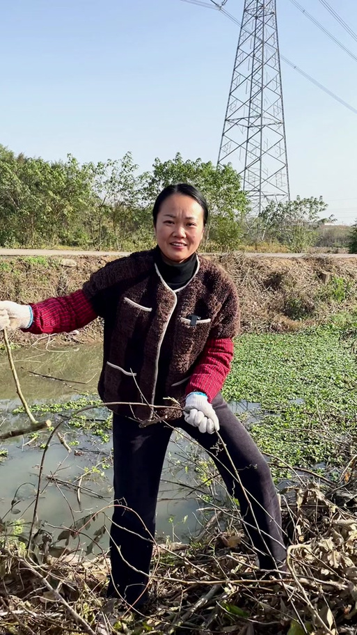 乡村小琪缩略图