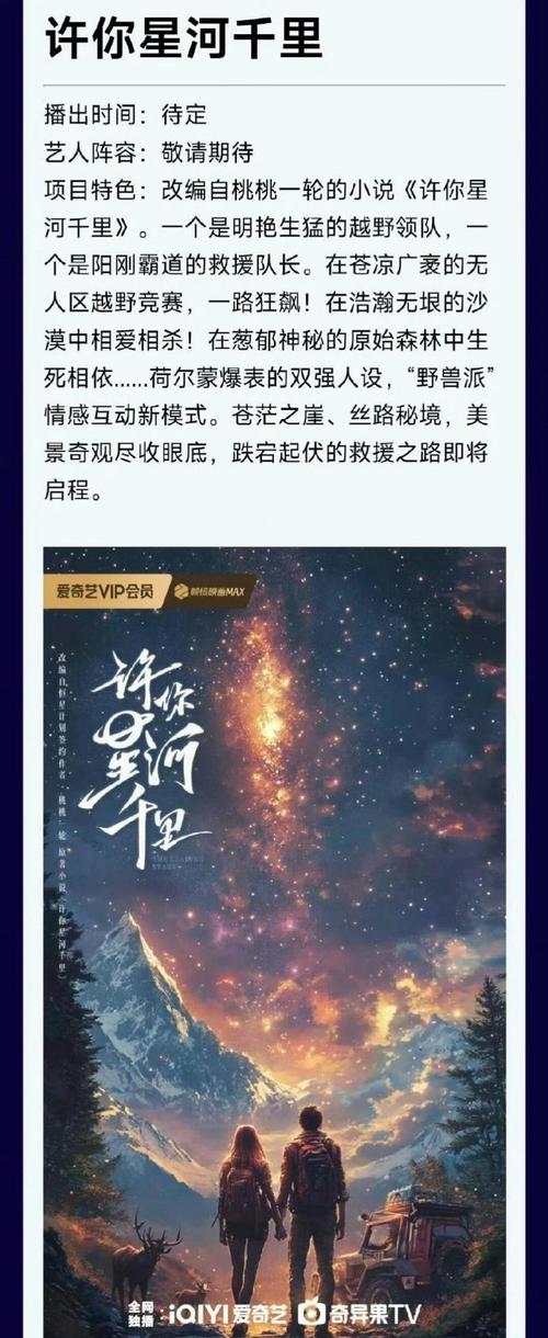 许你星河txt