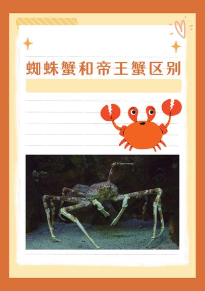 蜘蛛蟹和帝王蟹区别