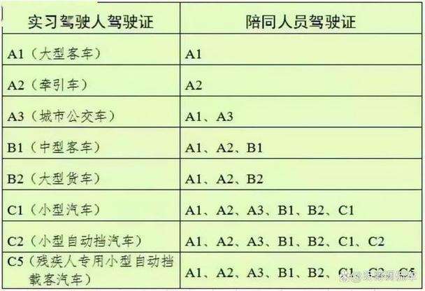 c1驾驶证考试流程图标