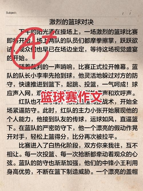 篮球少年欲全文阅读