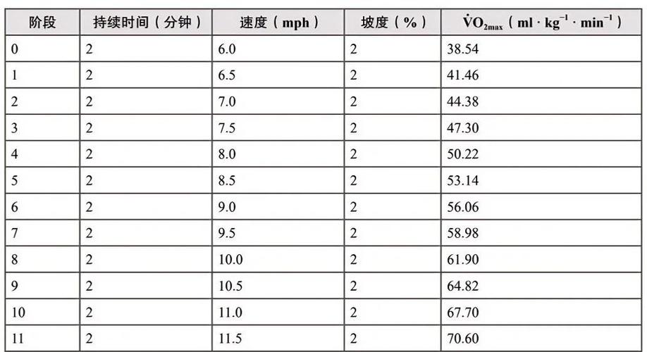 最大摄氧量60什么水平