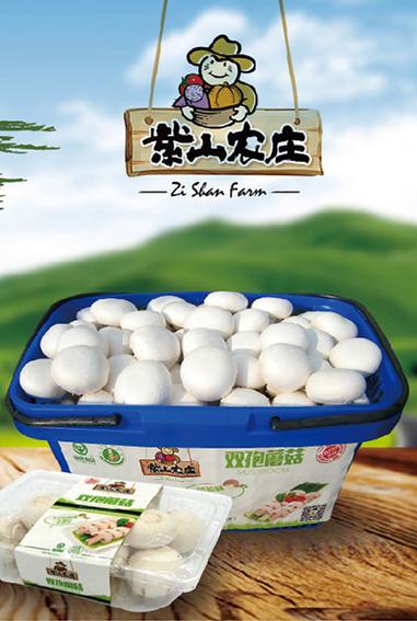 蘑菇盒子多少钱缩略图