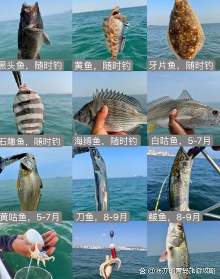 鲈鱼钓底还是钓浮