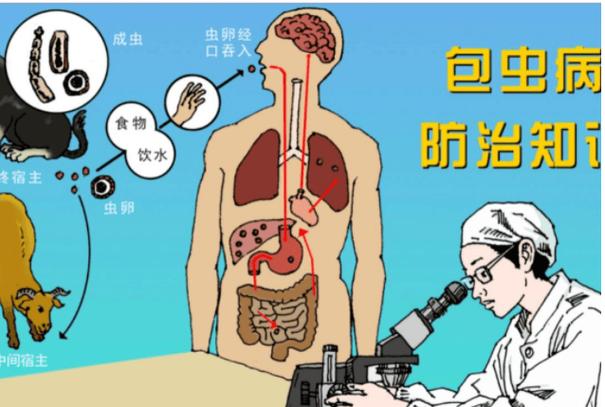 体内寄生虫安卓版