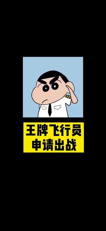王牌飞行员申请出战