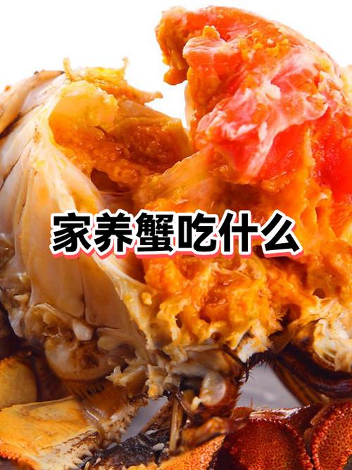 喂螃蟹吃蛋黄还是蛋清截图