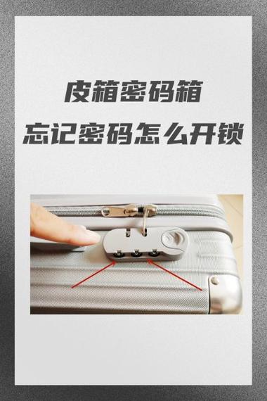 密码工具箱密码忘记了游戏截图