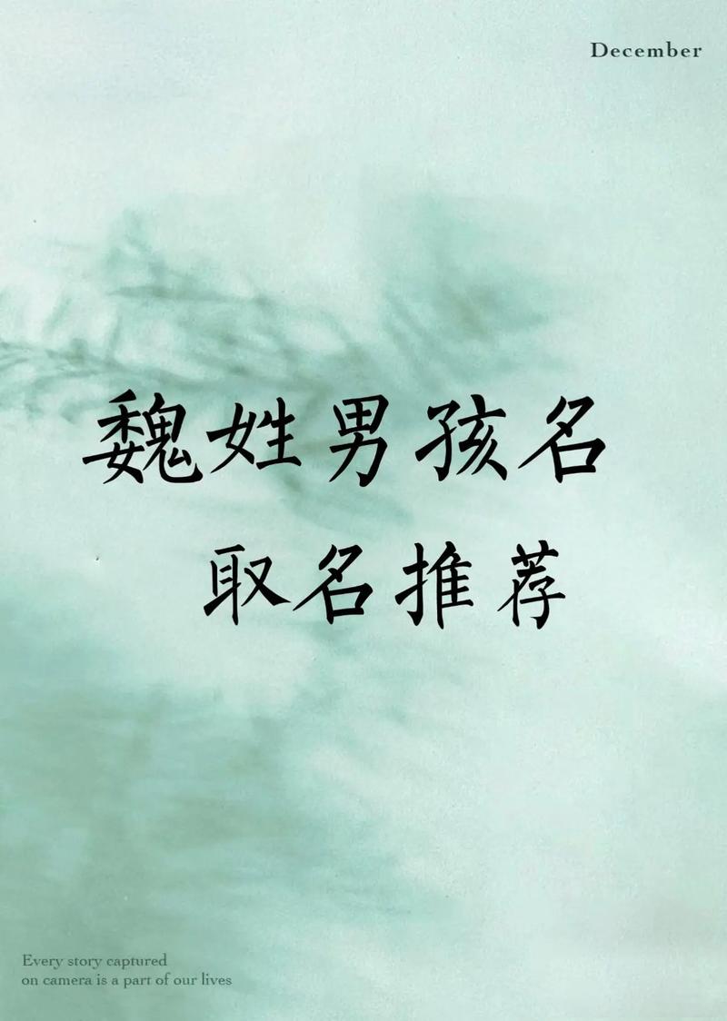 魏姓独一无二的男孩名图标