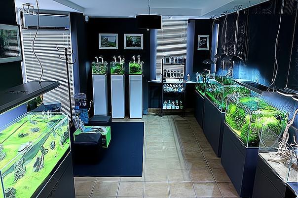 鱼缸专卖店
