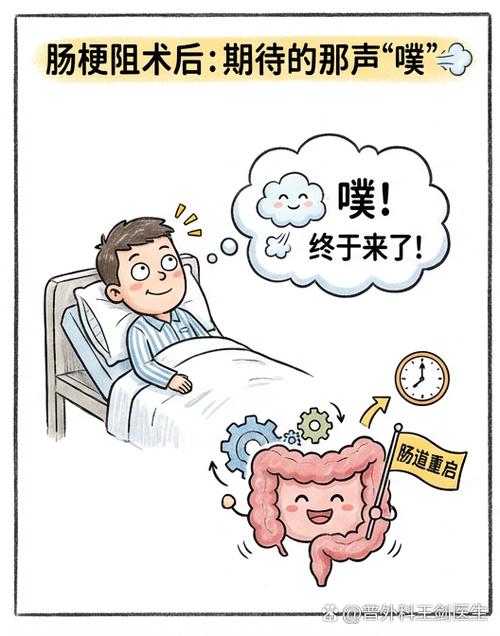 恢复肠动力最好的方法截图