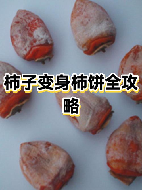 柿饼出毛怎么办
