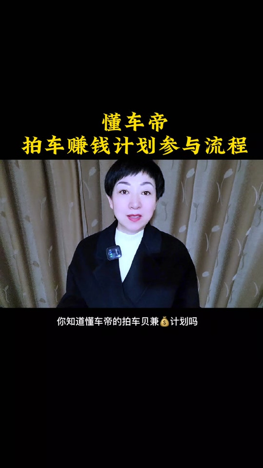 懂车帝怎么赚收益
